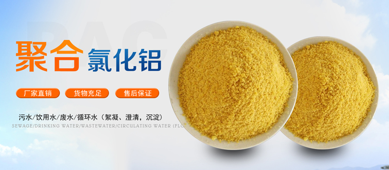 ��C����̿